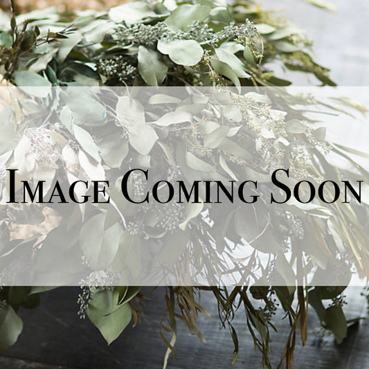 Almond Milk & Sea Salt Body Oil