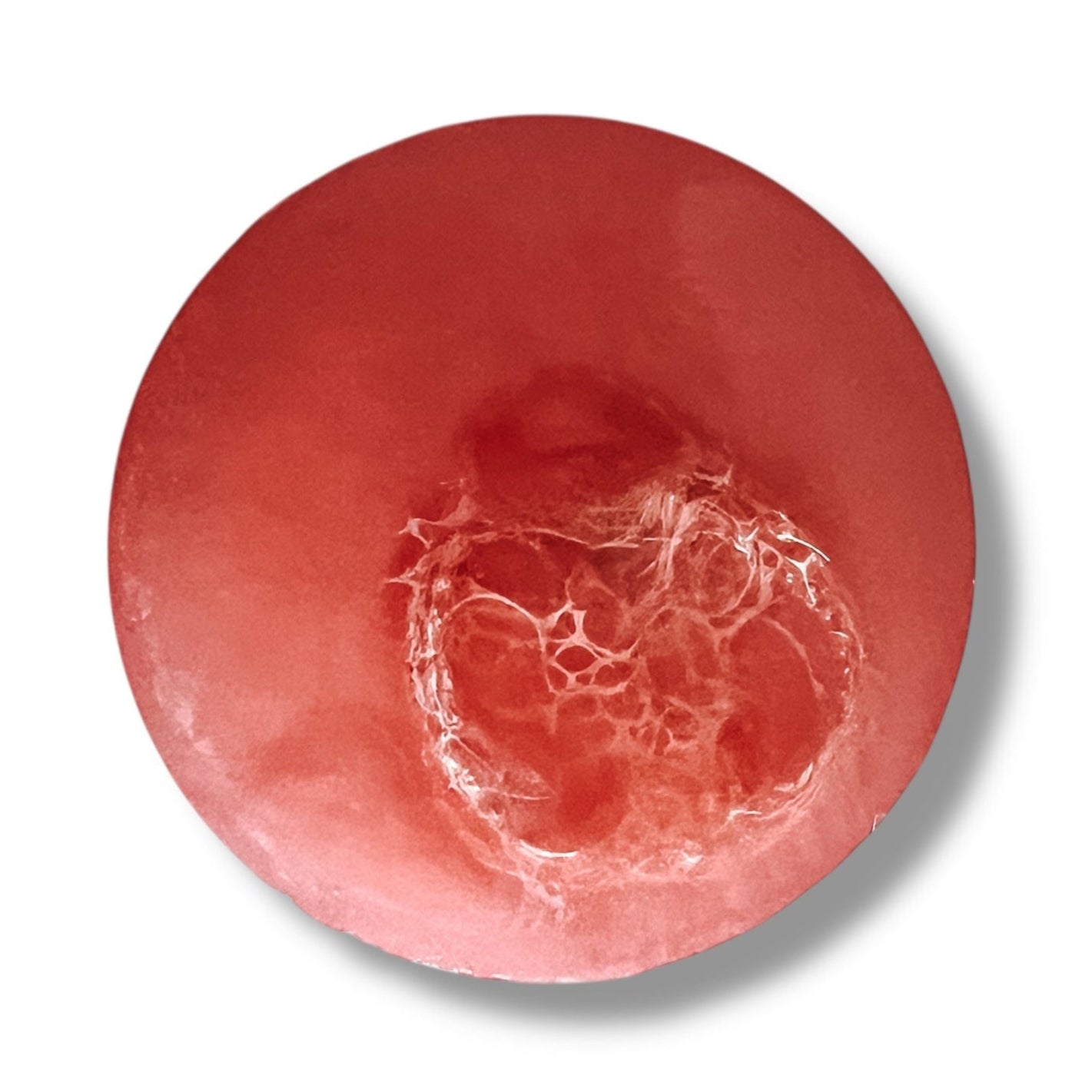 Handcrafted Loofah Soaps - Cactus & Sea Salt