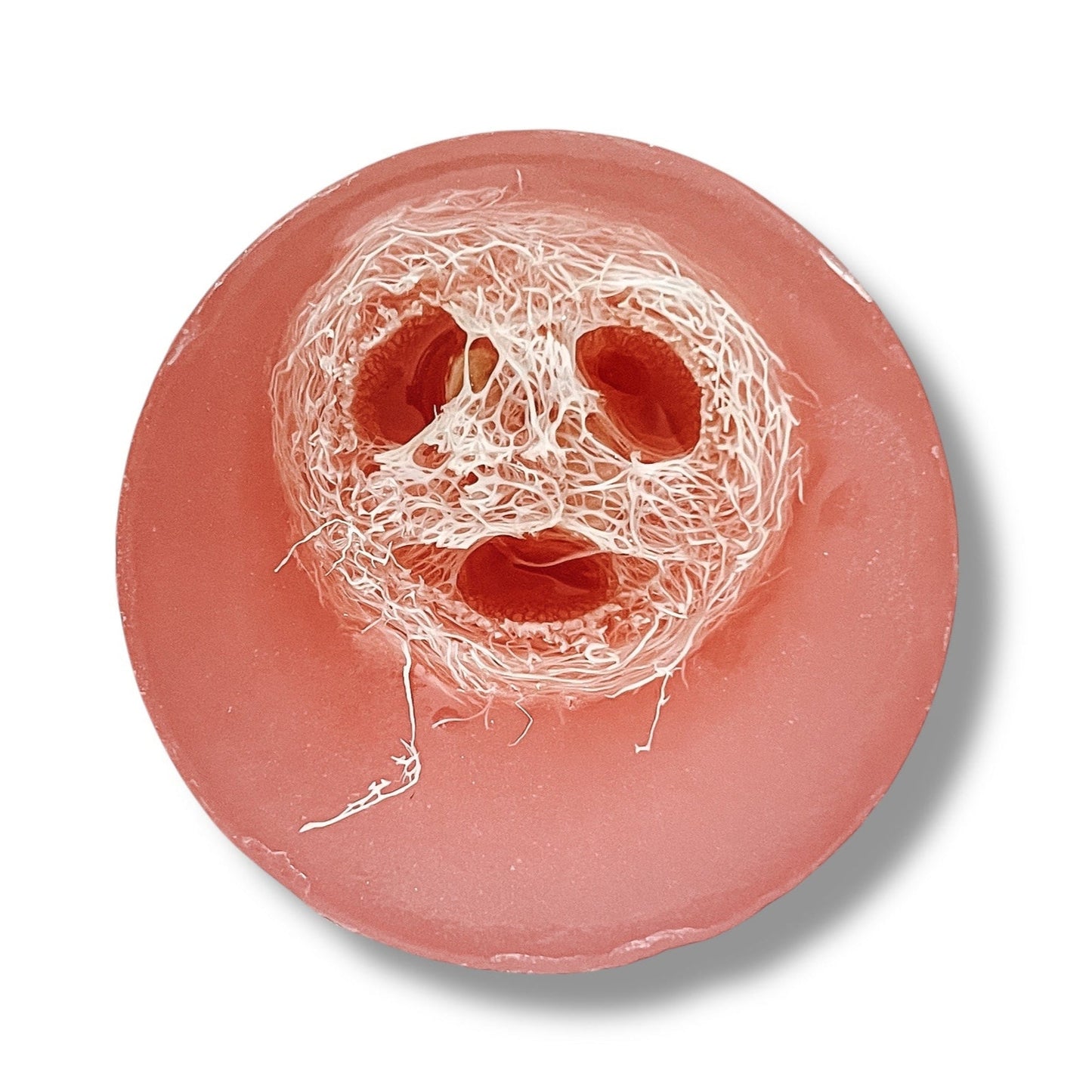 Grapefruit Loofah Soap