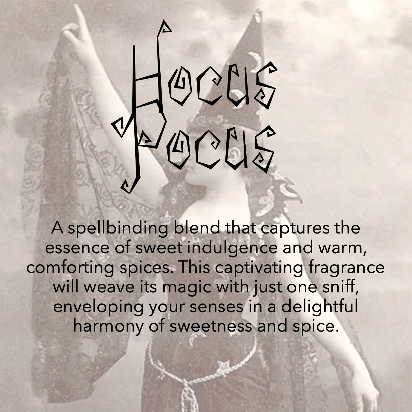 Hocus Pocus Loofah Soap