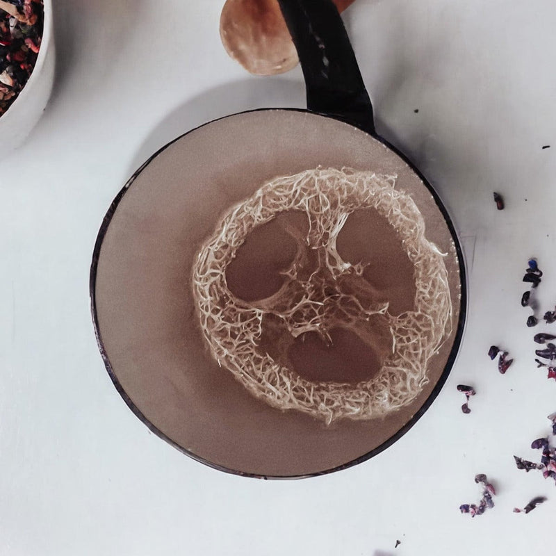 Coconut Milk & Lavender Loofah Soap - MODERN SKYN ALCHEMY HANDCRAFTED SKINCARE