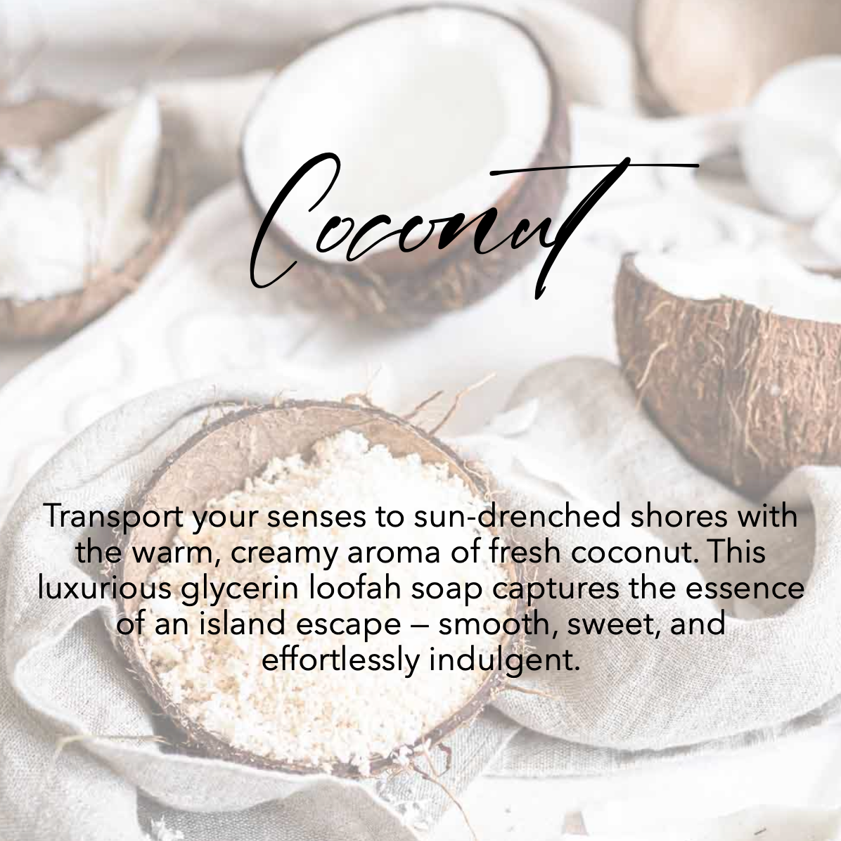 Coconut Loofah Soap