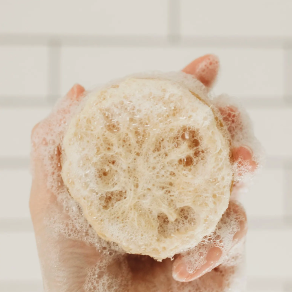 Mulled Apple Cider Loofah Soaps