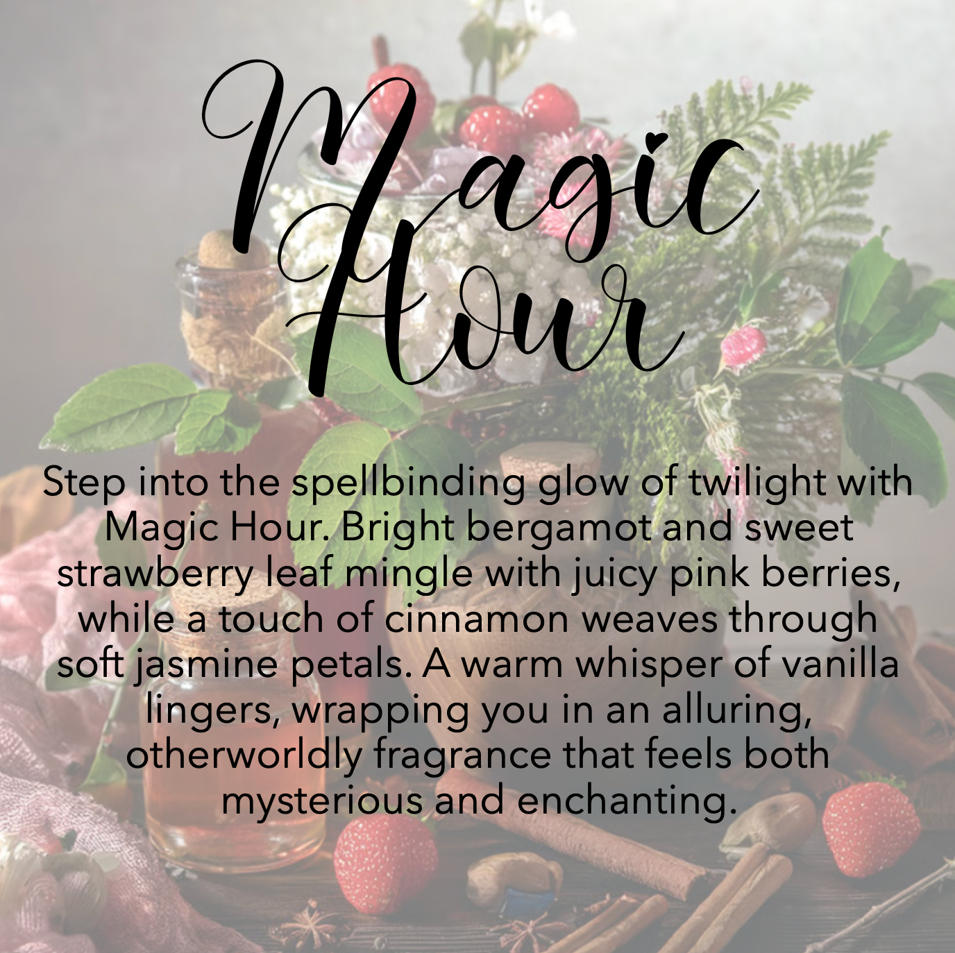 Magic Hour Loofah Soap