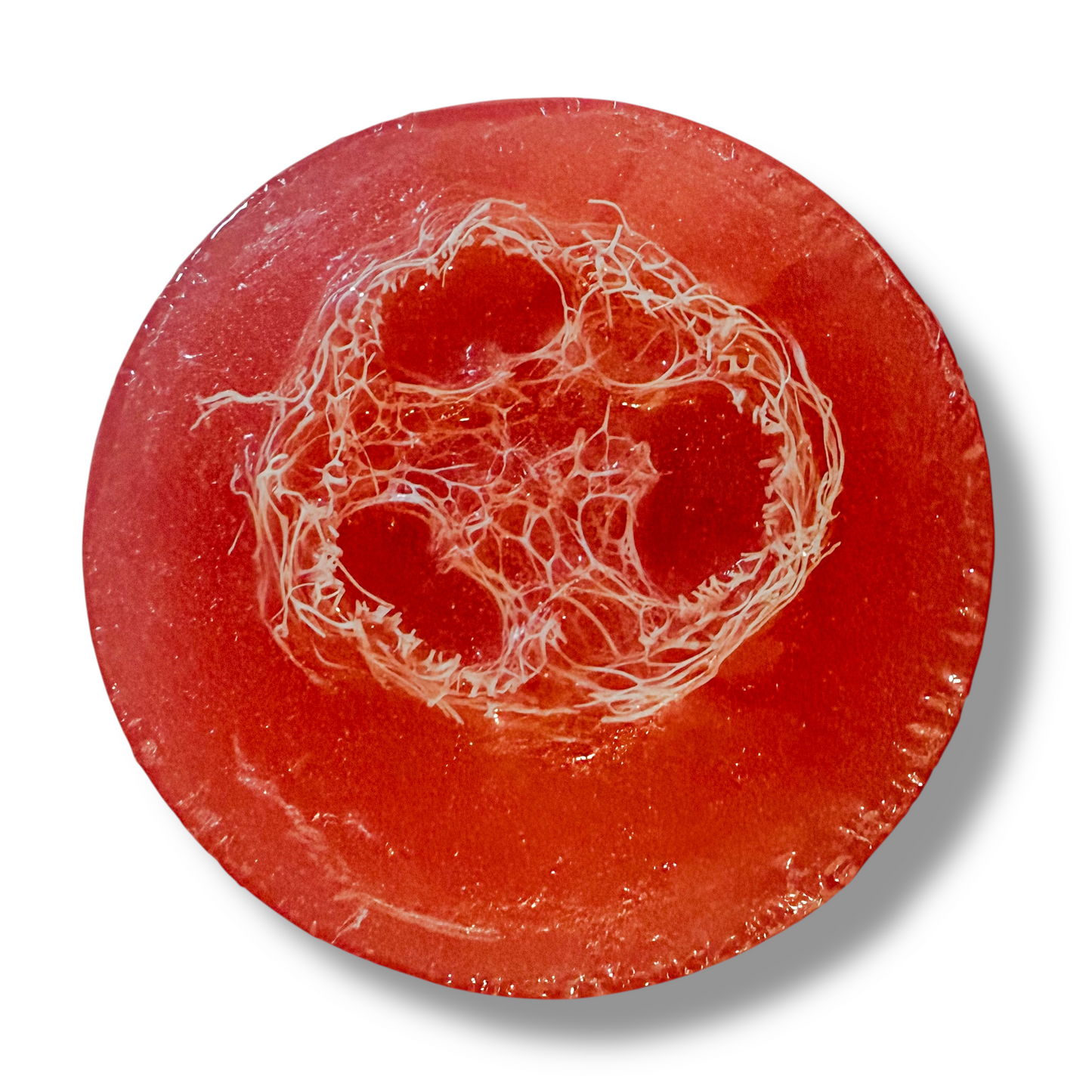 Mulled Apple Cider Loofah Soaps