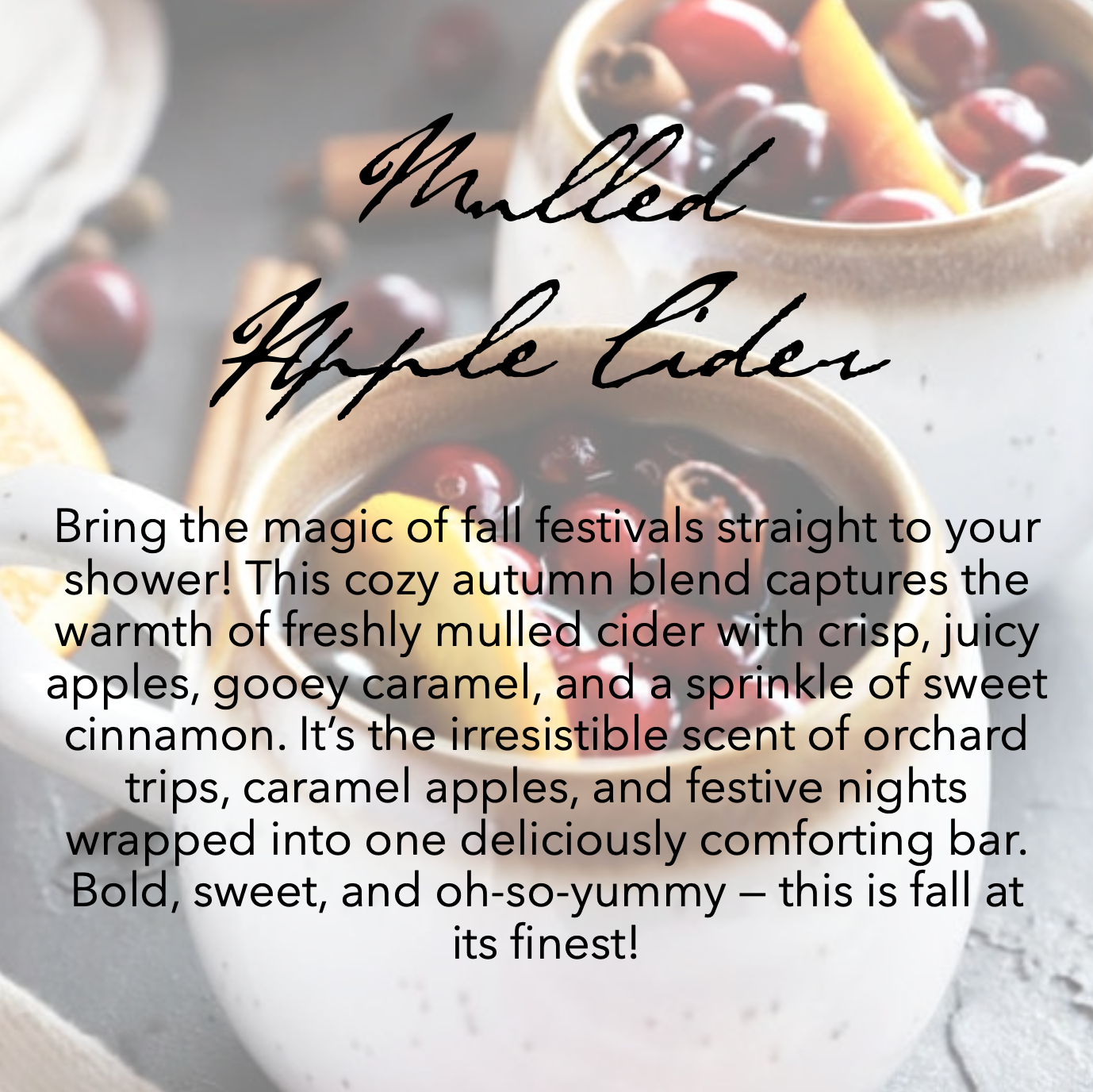 Mulled Apple Cider Loofah Soaps