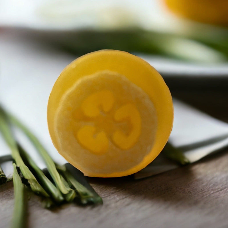 Lemongrass Loofah Soap - MODERN SKYN ALCHEMY HANDCRAFTED SKINCARE