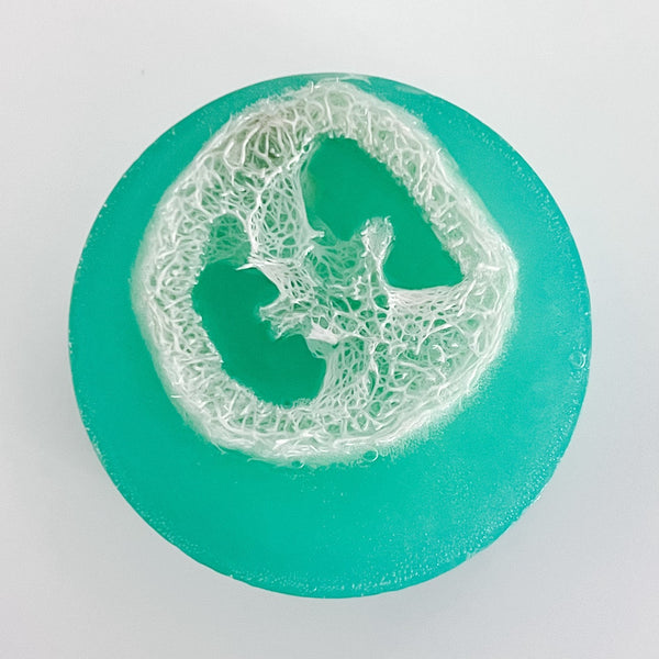 Living Coral Reef Loofah Soap